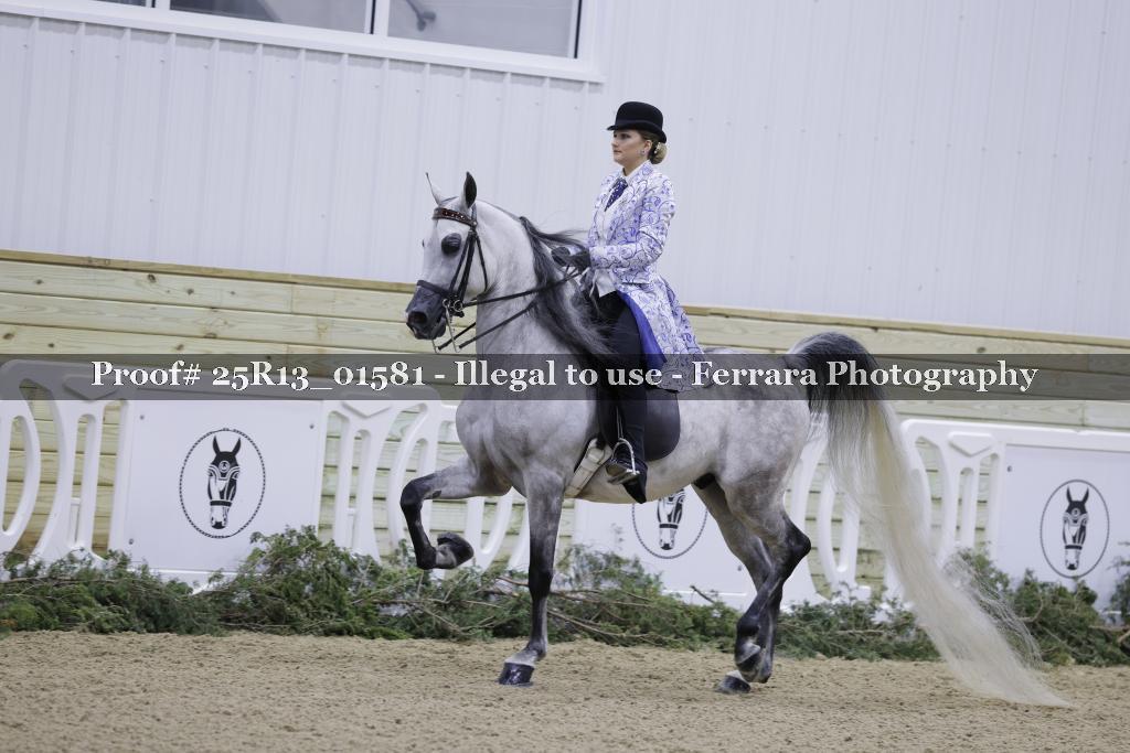 Proof 25R13_01581