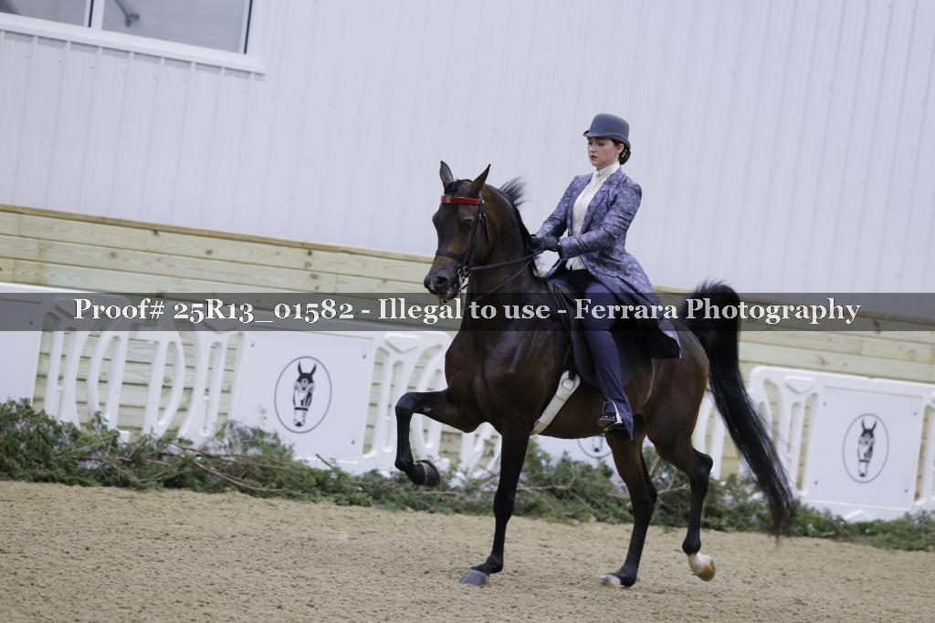 Proof 25R13_01582