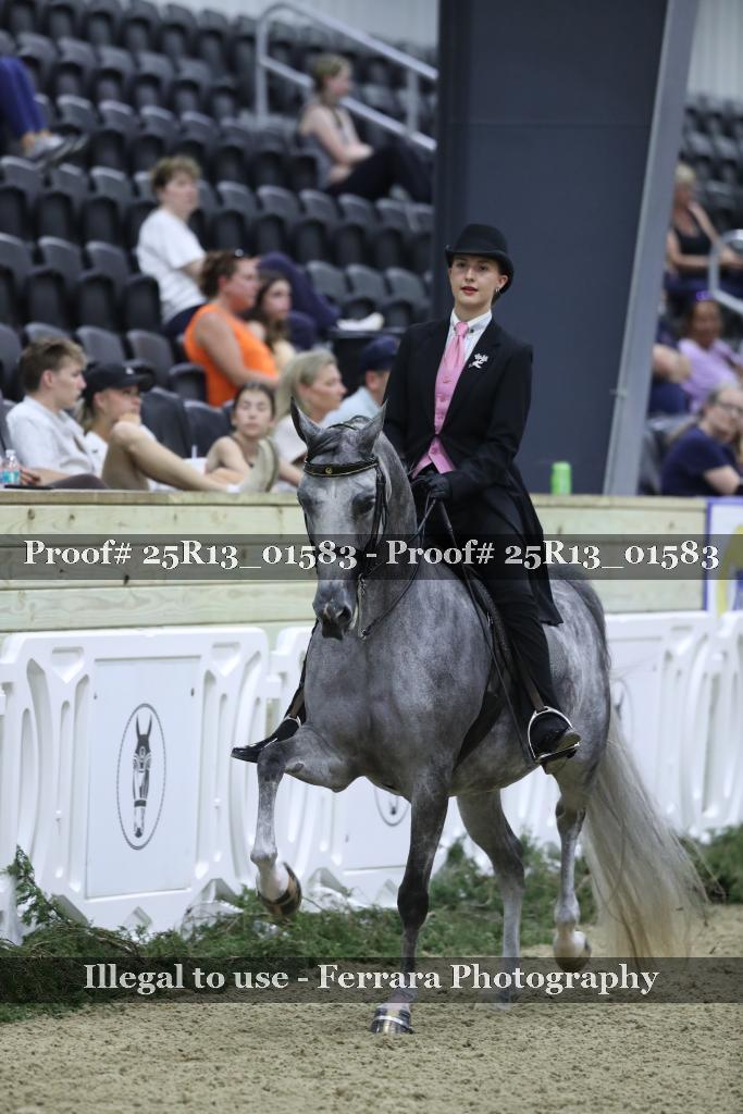 Proof 25R13_01583
