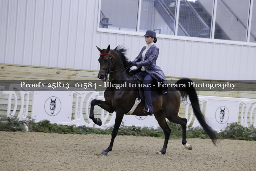Proof 25R13_01584