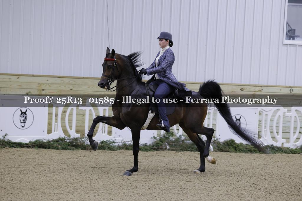 Proof 25R13_01585