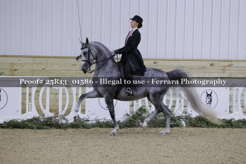 Proof 25R13_01586