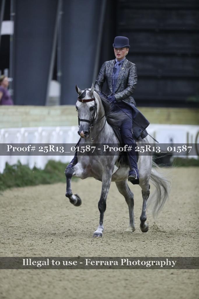 Proof 25R13_01587