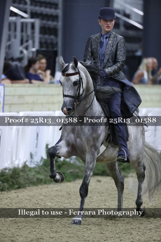 Proof 25R13_01588