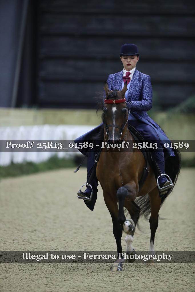 Proof 25R13_01589
