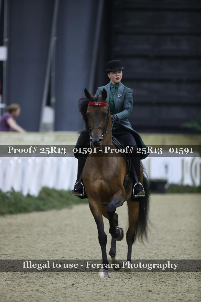 Proof 25R13_01591
