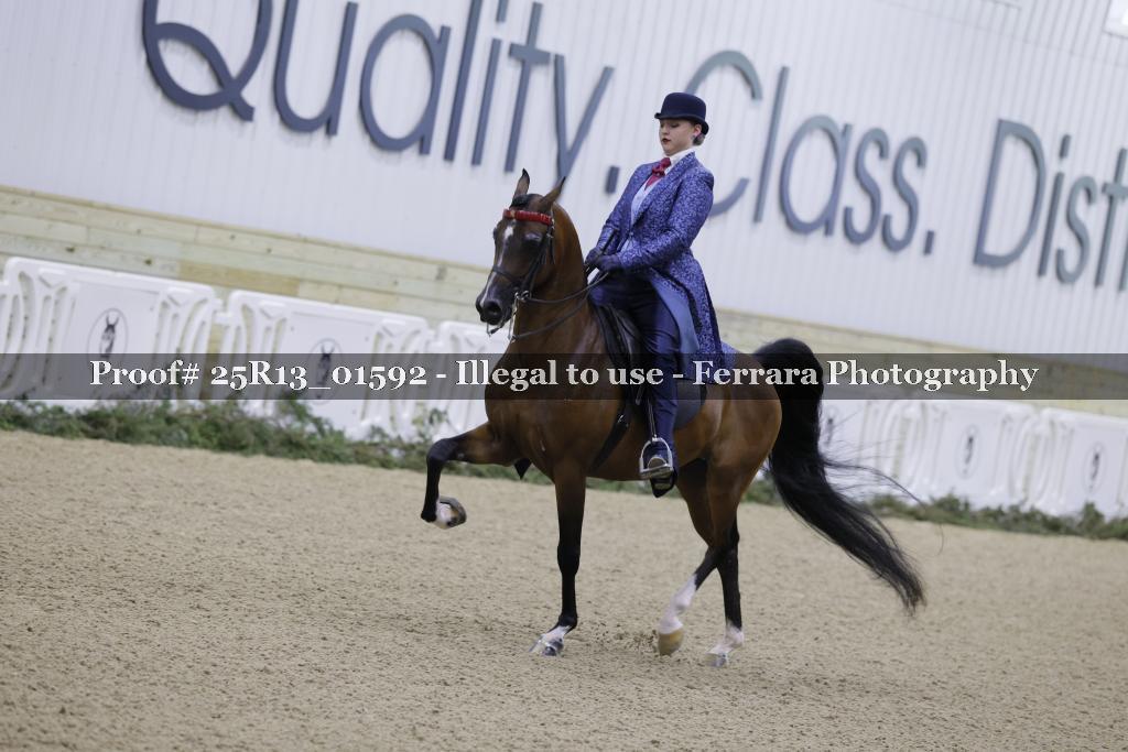 Proof 25R13_01592
