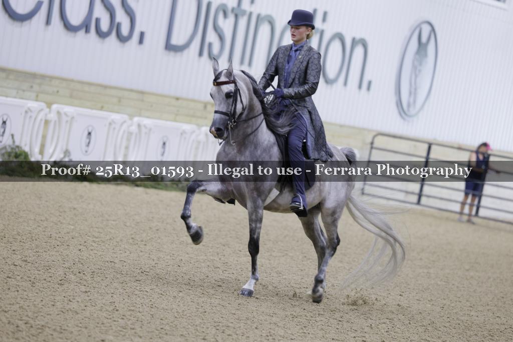 Proof 25R13_01593