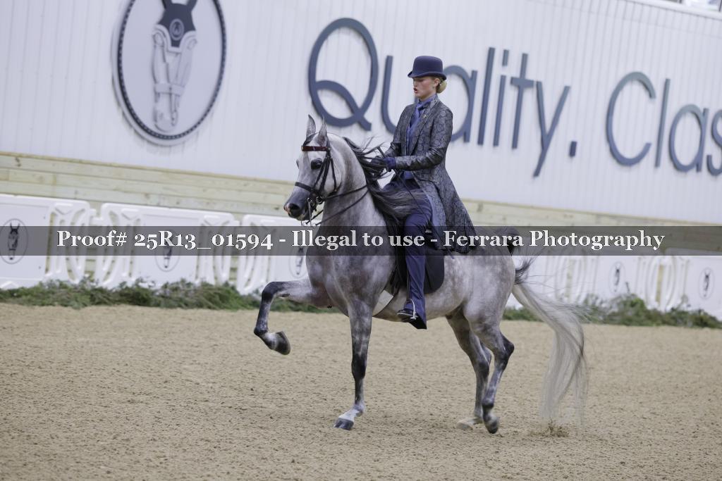 Proof 25R13_01594