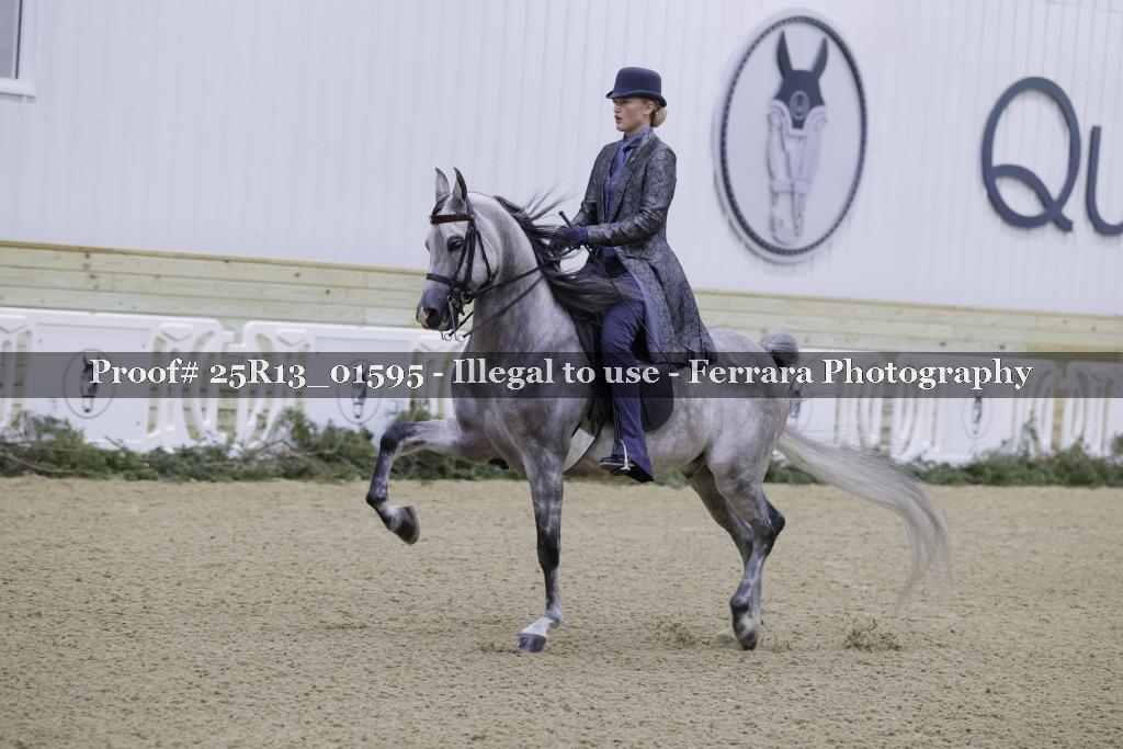 Proof 25R13_01595