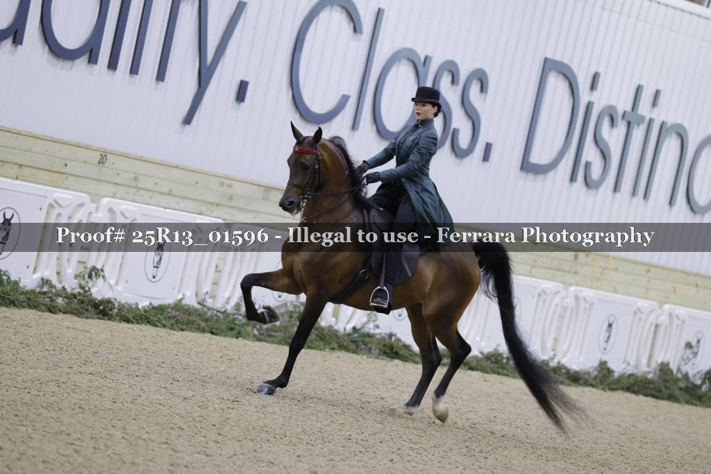 Proof 25R13_01596