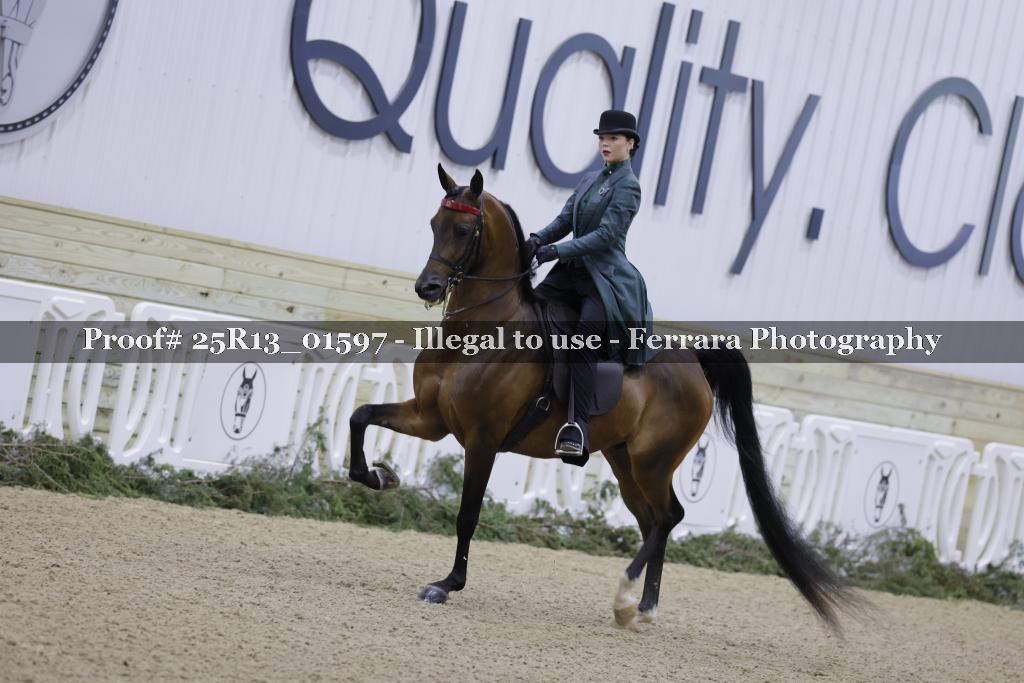 Proof 25R13_01597