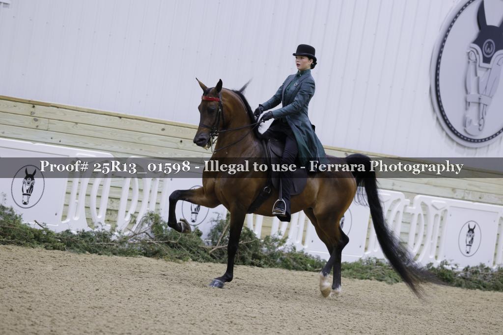 Proof 25R13_01598