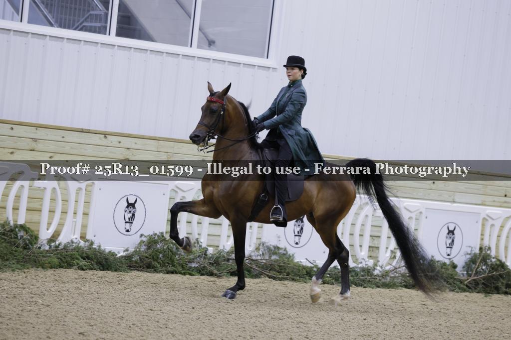 Proof 25R13_01599