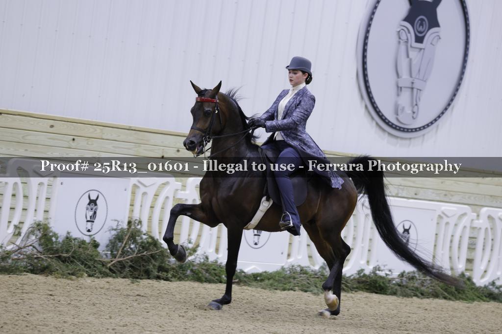 Proof 25R13_01601