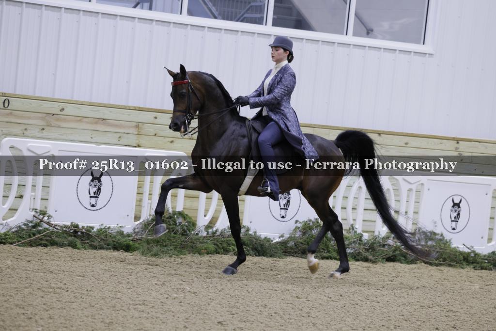Proof 25R13_01602