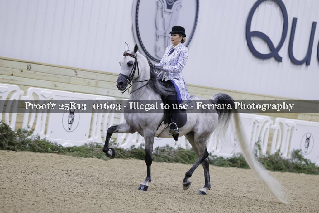 Proof 25R13_01603