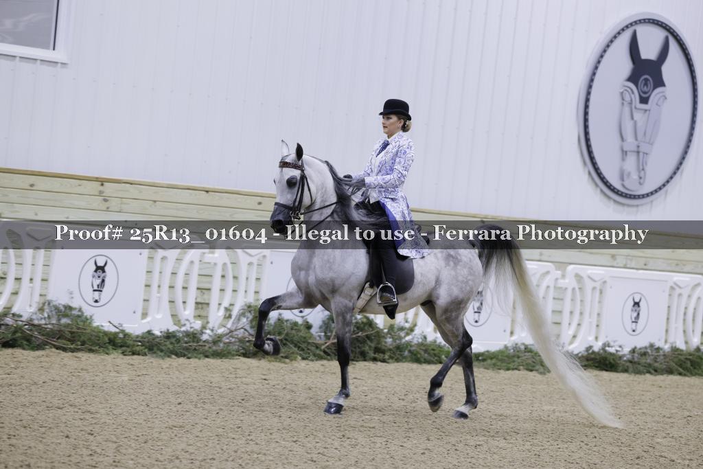 Proof 25R13_01604