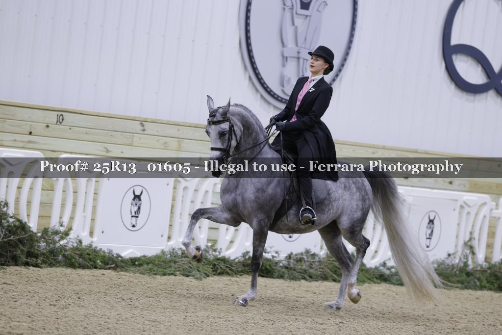 Proof 25R13_01605