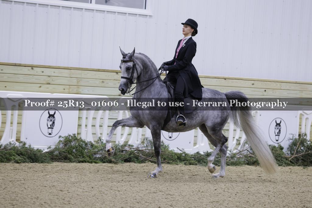 Proof 25R13_01606