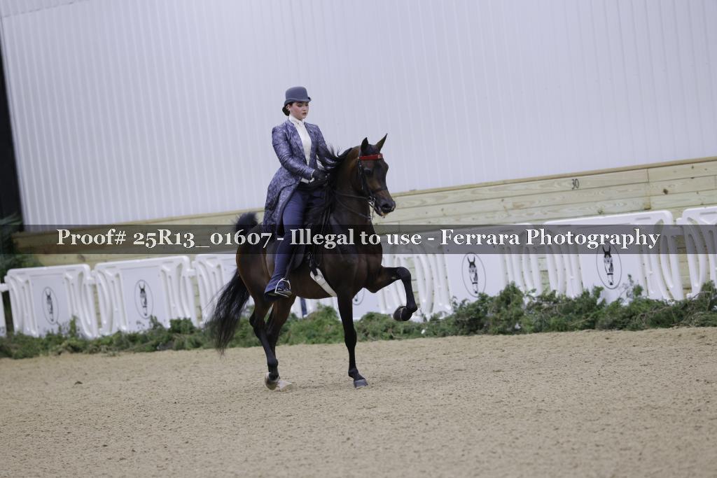 Proof 25R13_01607