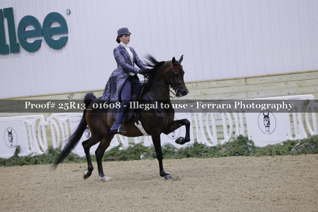 Proof 25R13_01608