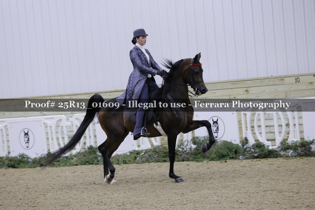Proof 25R13_01609
