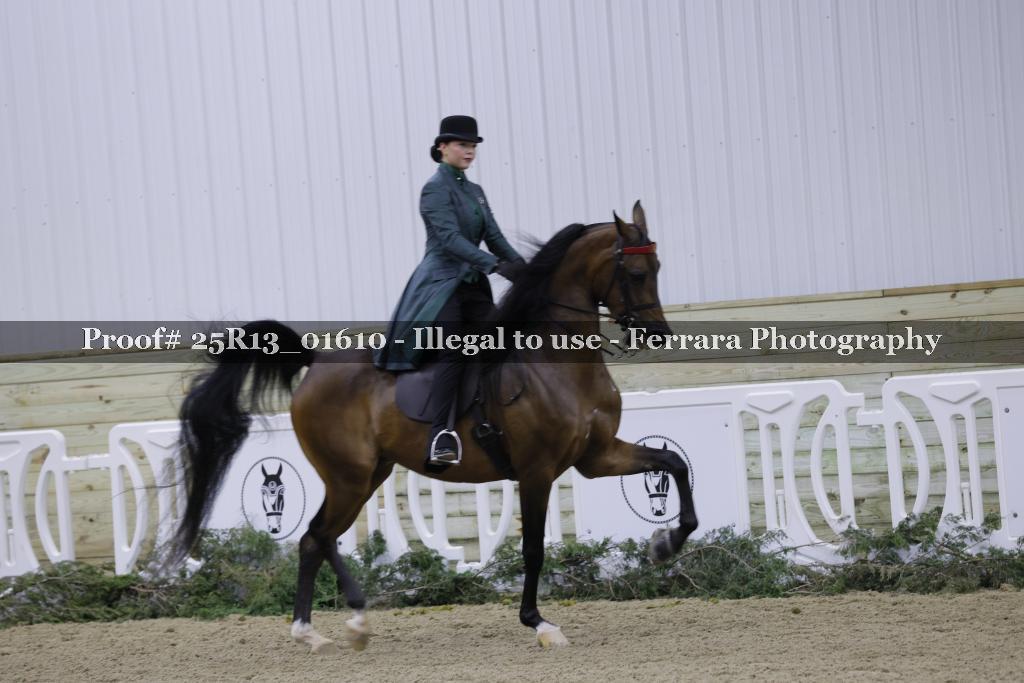 Proof 25R13_01610