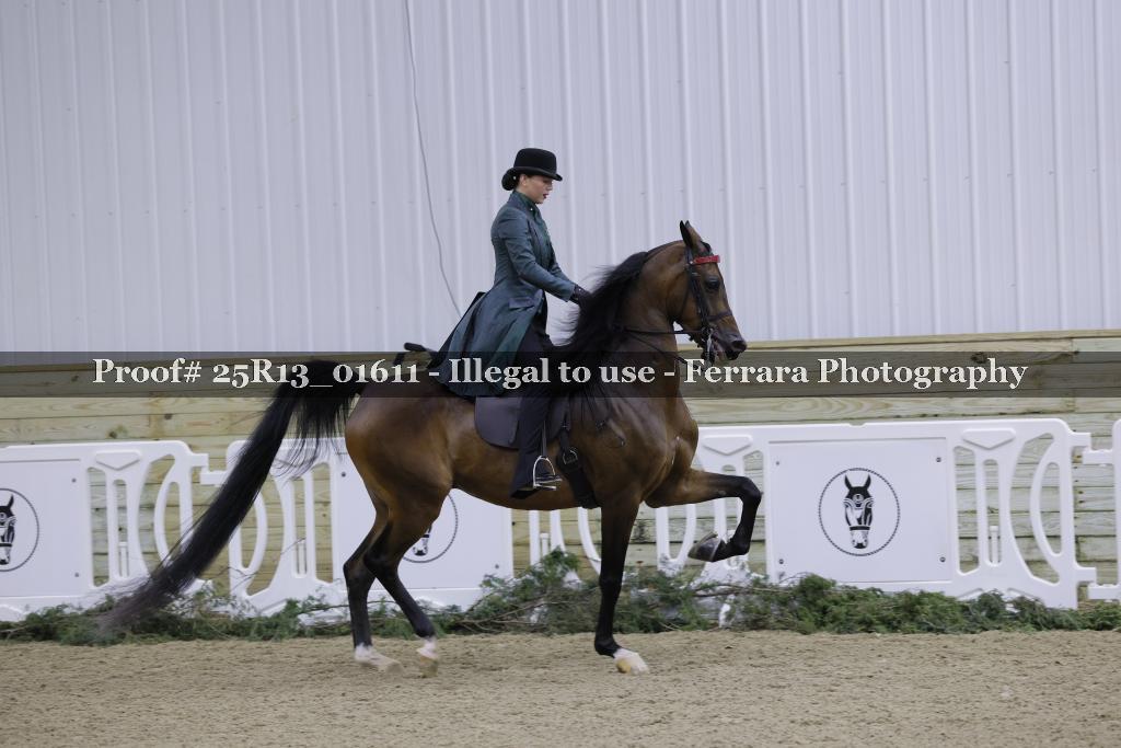 Proof 25R13_01611