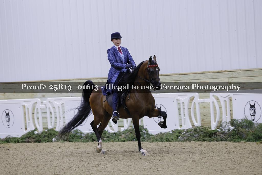Proof 25R13_01613