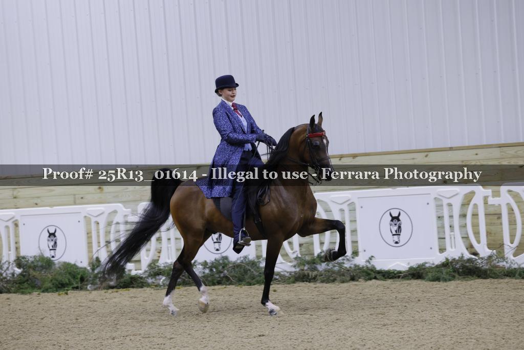 Proof 25R13_01614