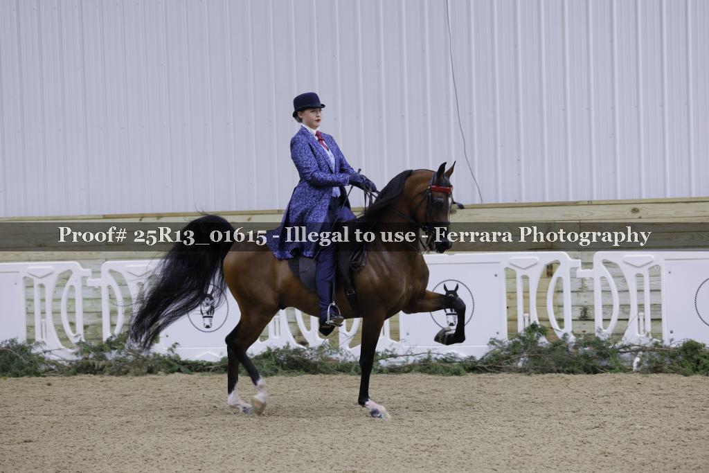 Proof 25R13_01615