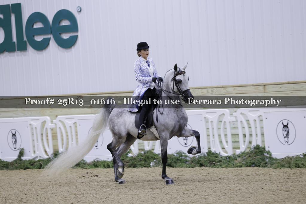 Proof 25R13_01616