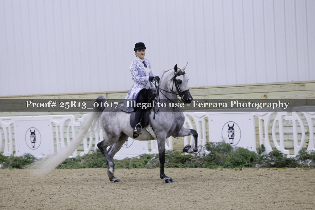 Proof 25R13_01617