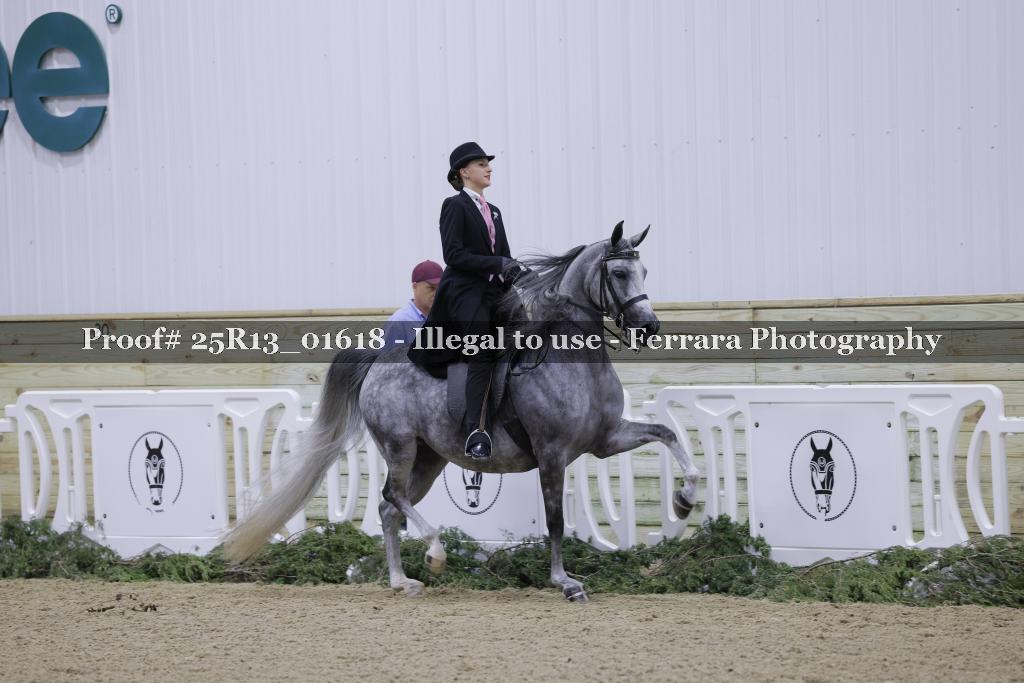 Proof 25R13_01618