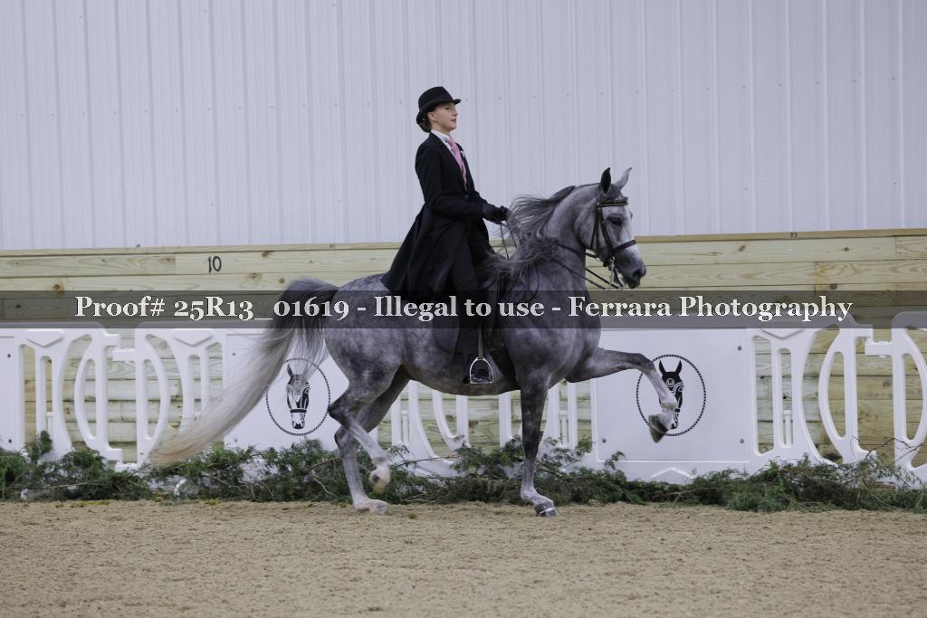 Proof 25R13_01619