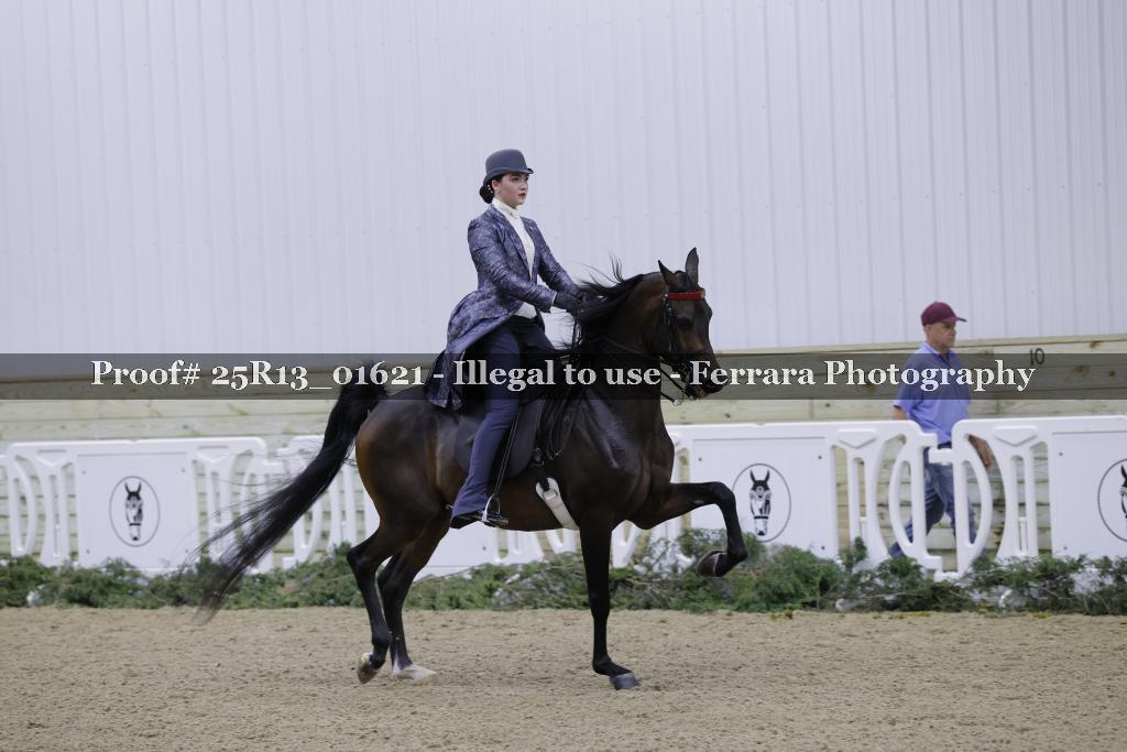 Proof 25R13_01621