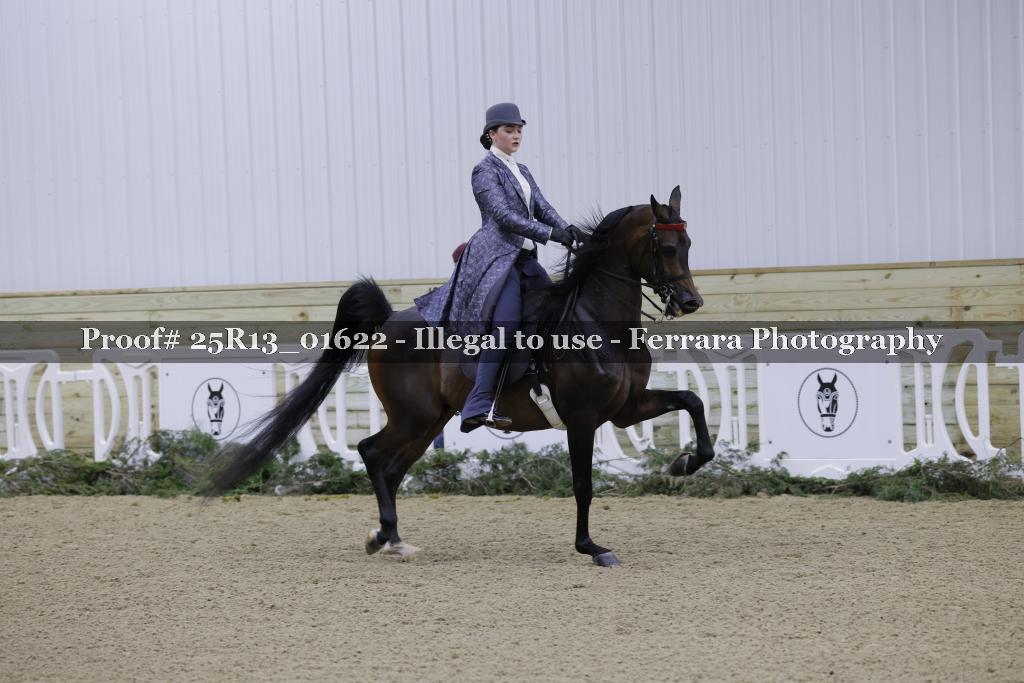 Proof 25R13_01622