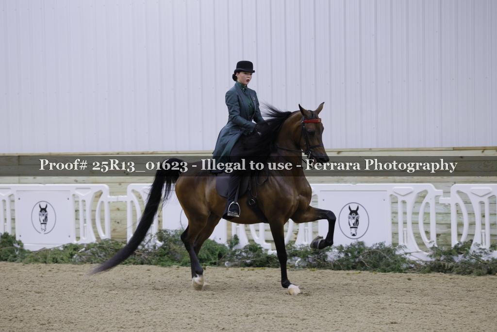 Proof 25R13_01623