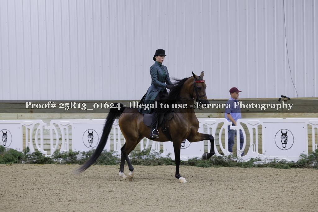 Proof 25R13_01624
