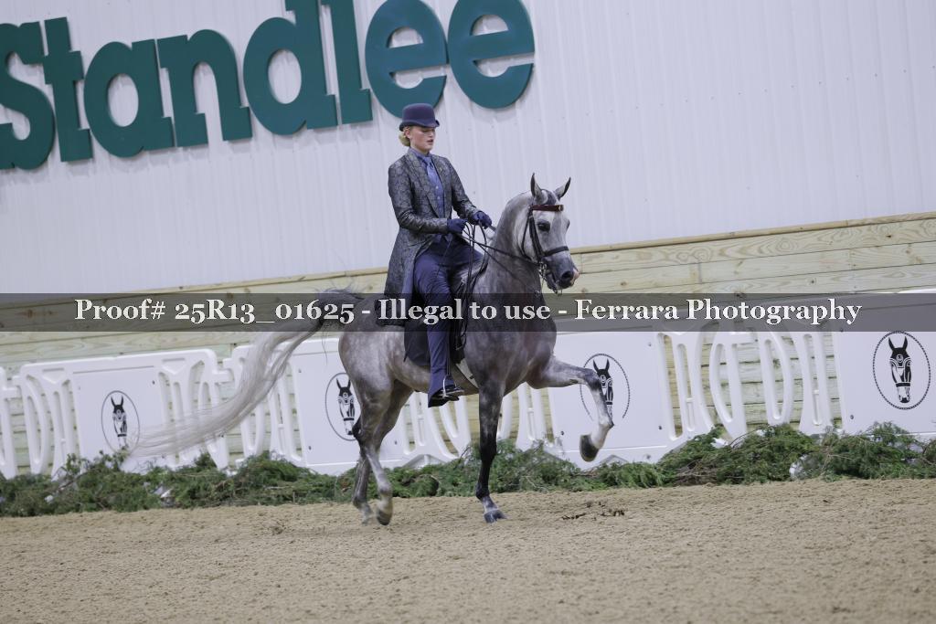 Proof 25R13_01625