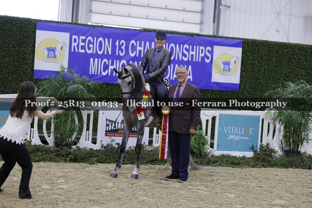 Proof 25R13_01633
