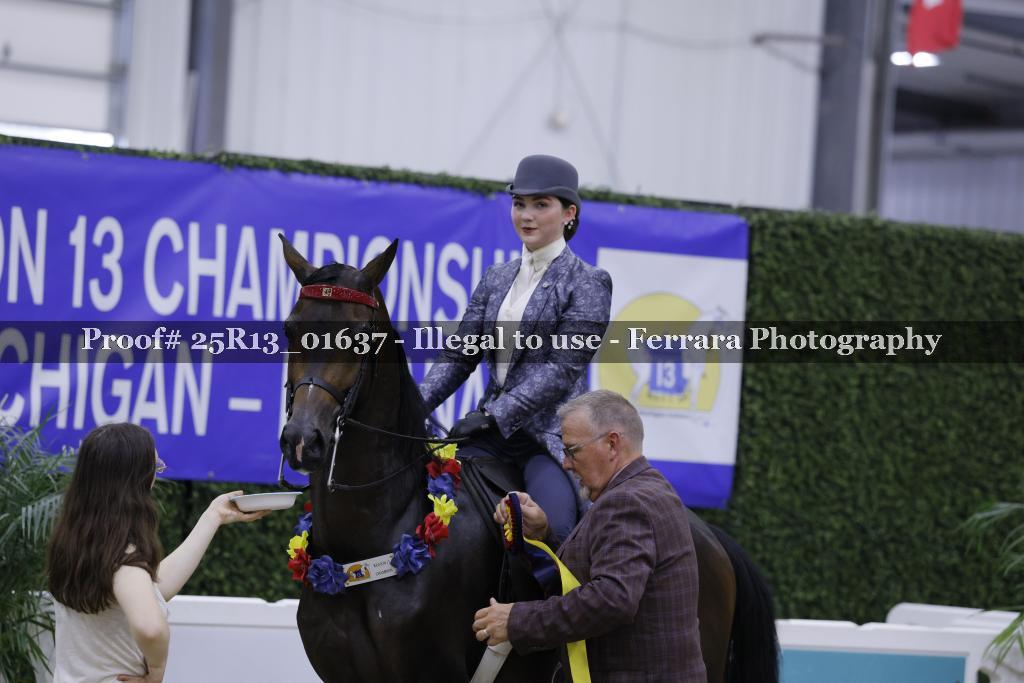 Proof 25R13_01637