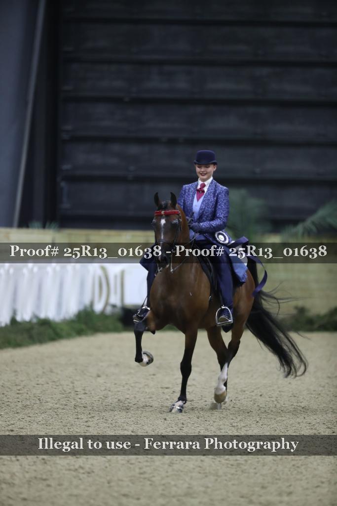 Proof 25R13_01638