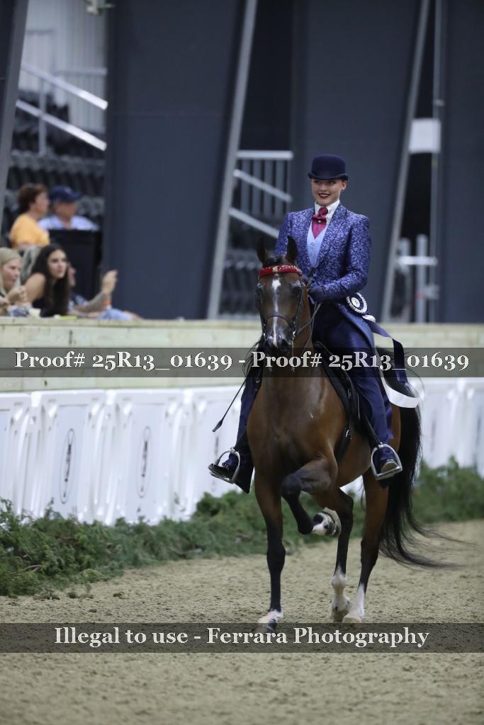 Proof 25R13_01639