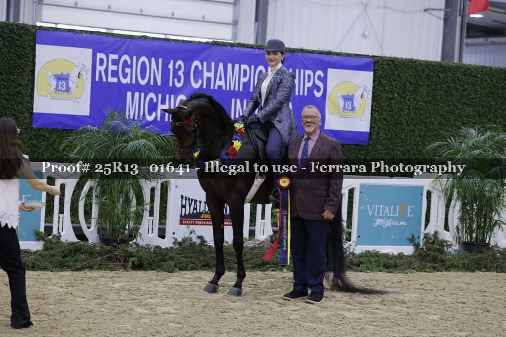 Proof 25R13_01641