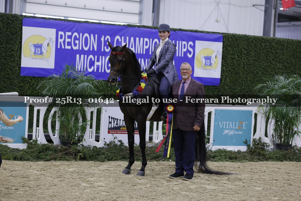 Proof 25R13_01642