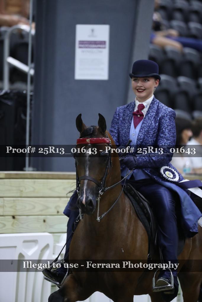 Proof 25R13_01643