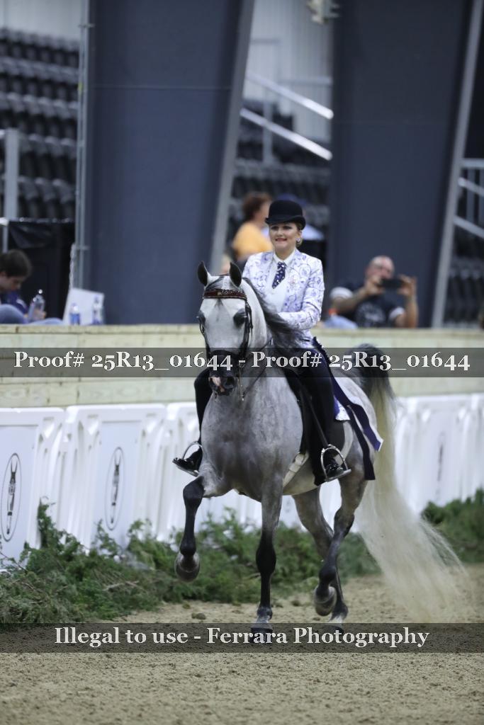 Proof 25R13_01644