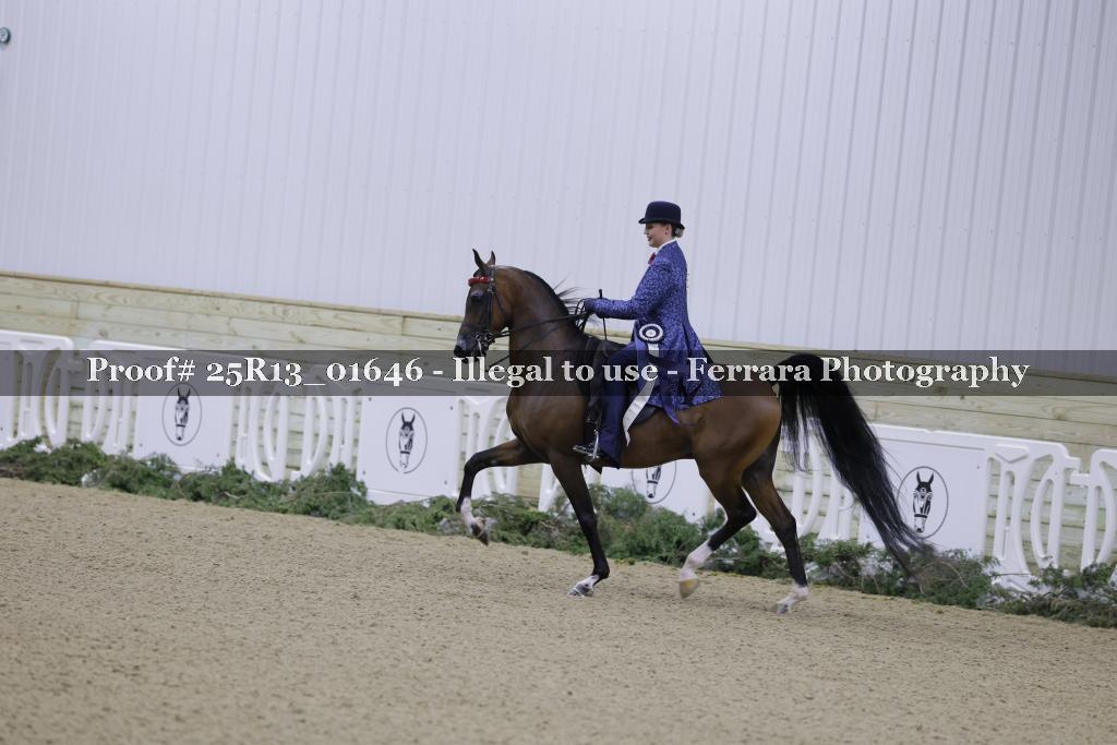 Proof 25R13_01646